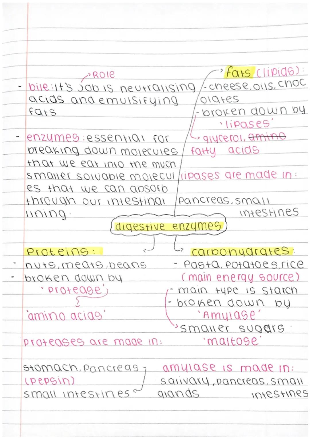 Mind map:Digestive enzymes