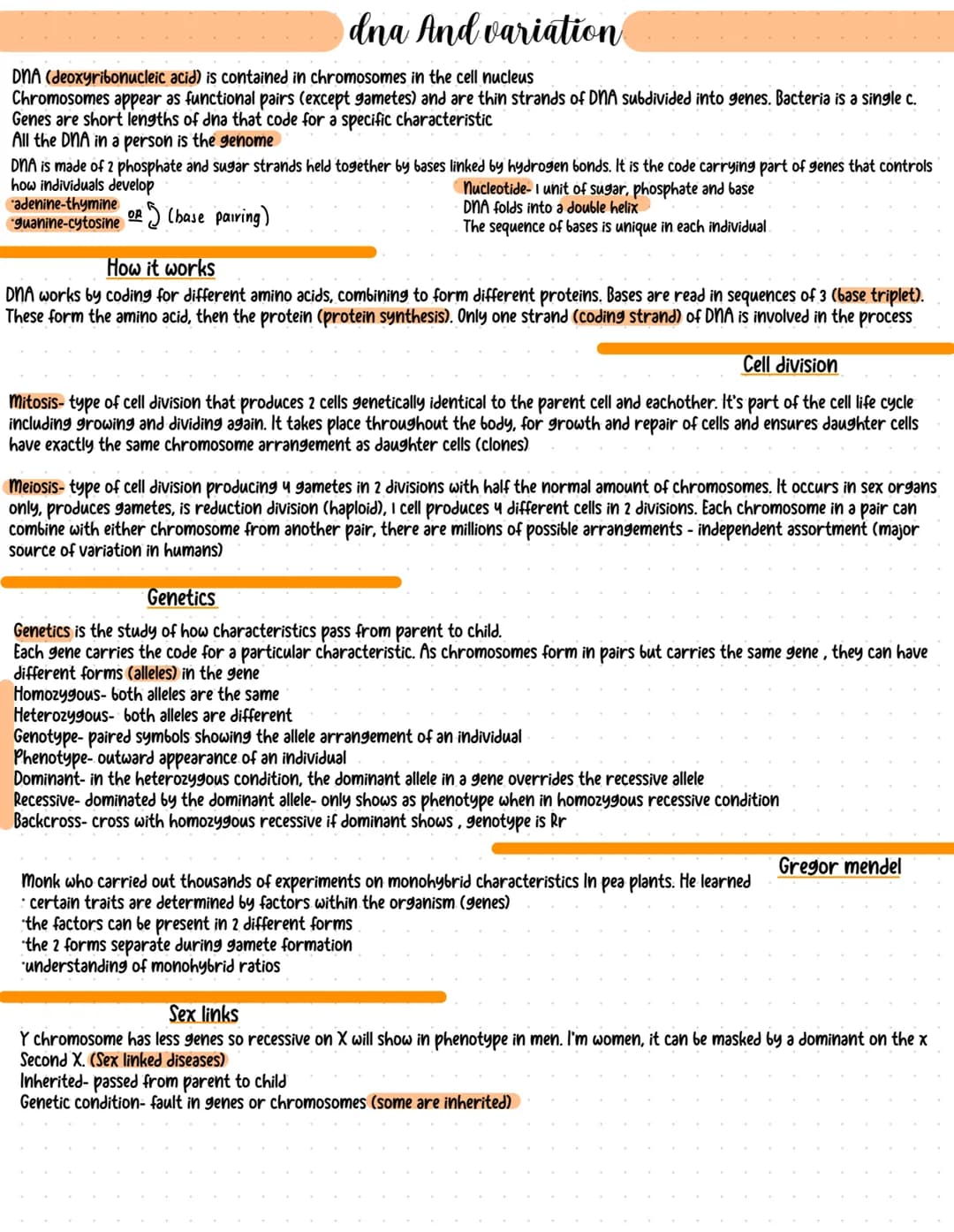 What is DNA, Genes, and Chromosomes - GCSE Biology Guide