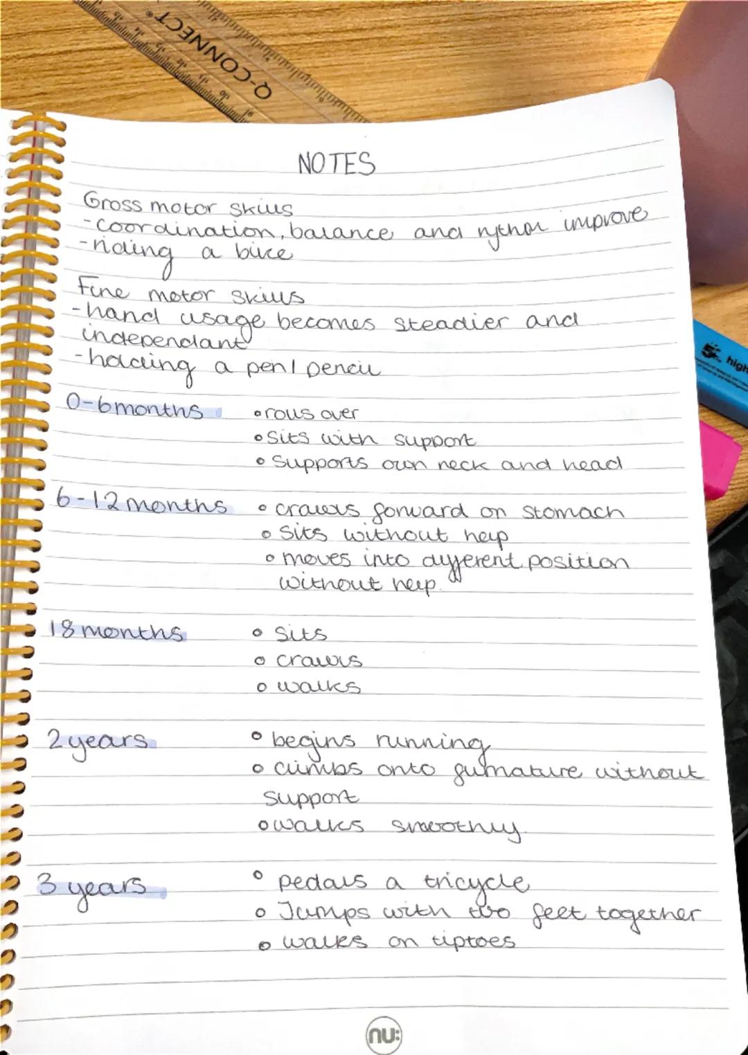 --- OCR Start ---
NOTES
Gross motor Skius
-Coordination, balance and nythor improve
-naing a buce
Fine motor skius
-hand usage becomes stead