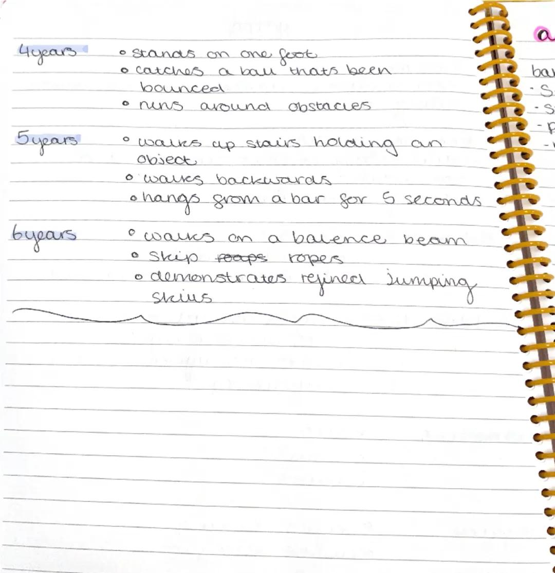 --- OCR Start ---
NOTES
Gross motor Skius
-Coordination, balance and nythor improve
-naing a buce
Fine motor skius
-hand usage becomes stead
