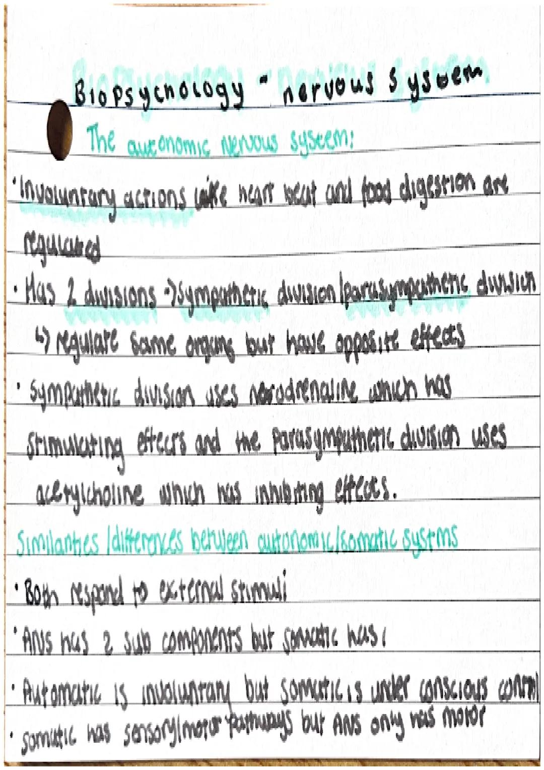 Biopsychology • Nervous system
Ceneral nervous system:
• comprised of the brown and spuncal coved
• function control of behaviour and regula