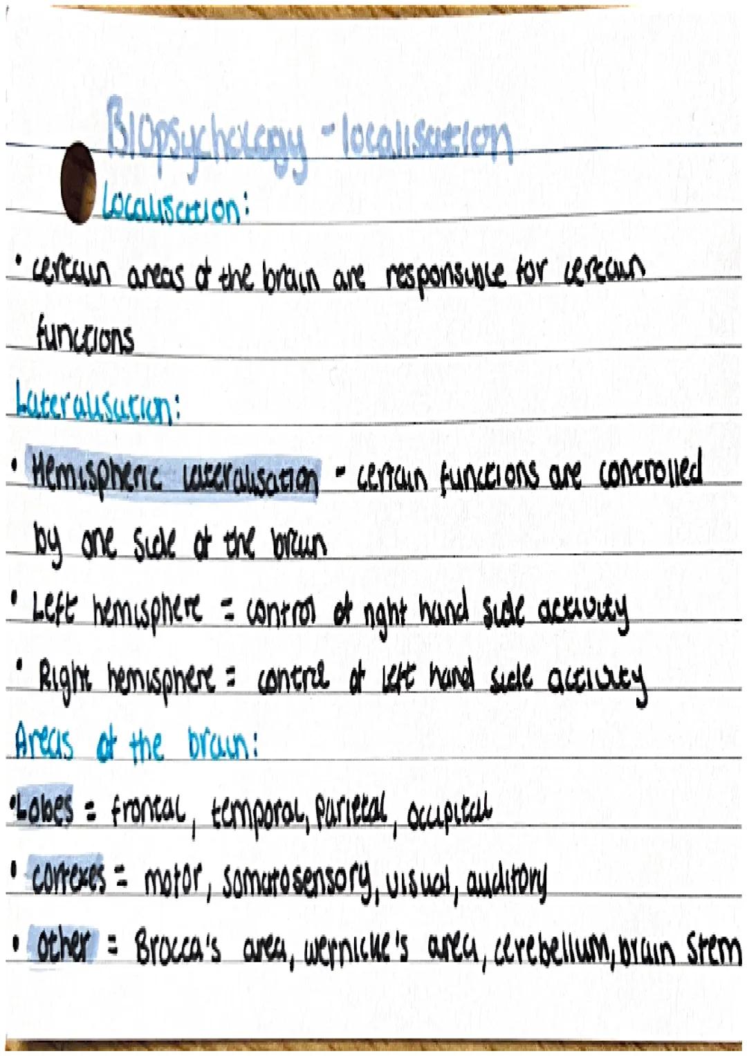 Biopsychology • Nervous system
Ceneral nervous system:
• comprised of the brown and spuncal coved
• function control of behaviour and regula