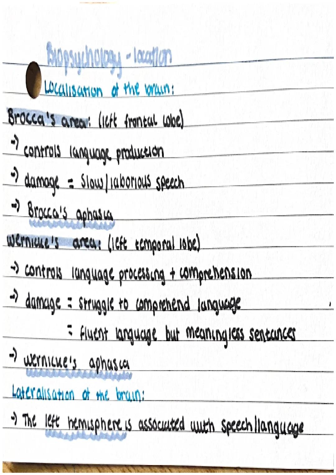 Biopsychology • Nervous system
Ceneral nervous system:
• comprised of the brown and spuncal coved
• function control of behaviour and regula