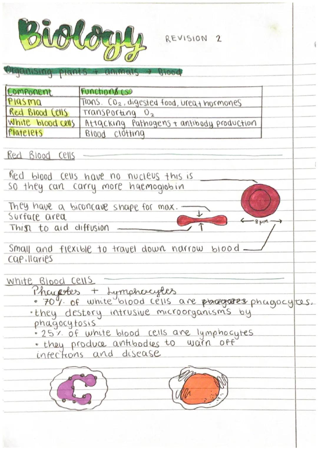 # Biology REVISION 2

Organising plants + animals Blood

| Component       | Functions (s)
| --------------- | -----------------------------