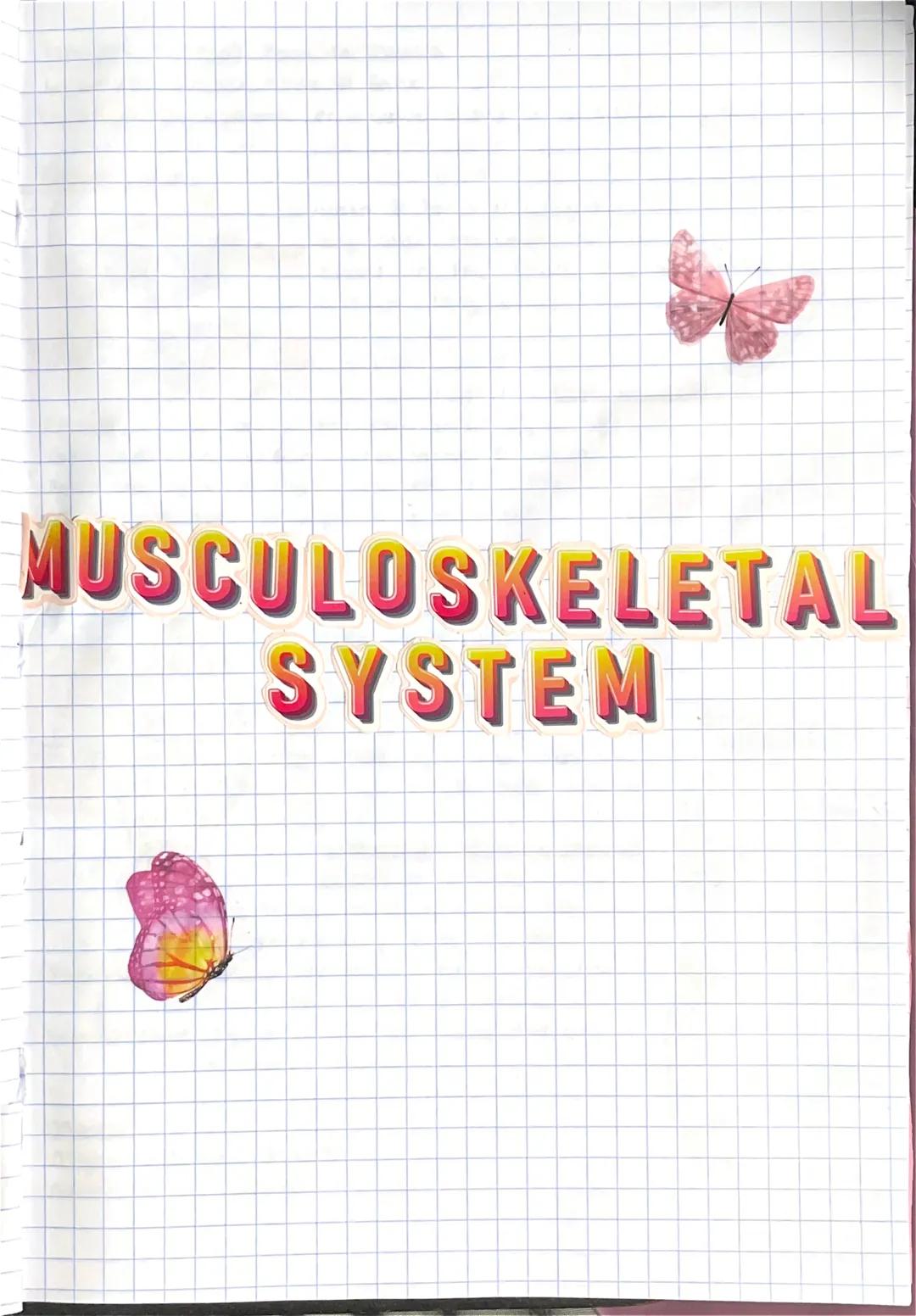 MUSCULOSKELETAL
SYSTEM Tendons Connect bone to muscle.
Ligaments Connect bone to Bone
Cartalige - firm, flexible, Connective fissue in the a