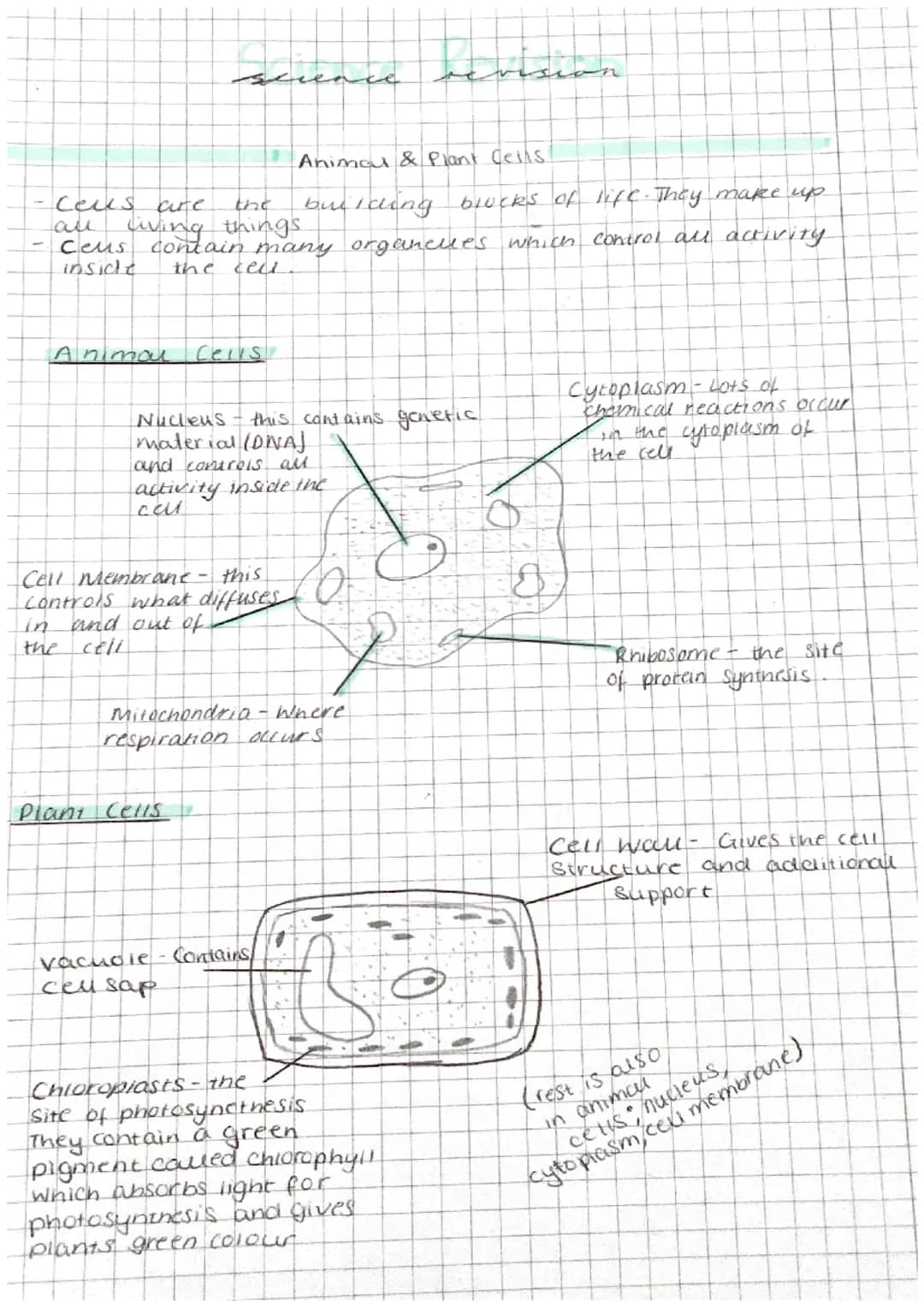 Animal & Plant Cells!
building blocks of life. They make up
contain many organcules which control all activity.
the
science
-ceus
are
the
al