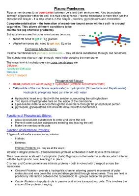 Know Plasma Membrane Functions thumbnail