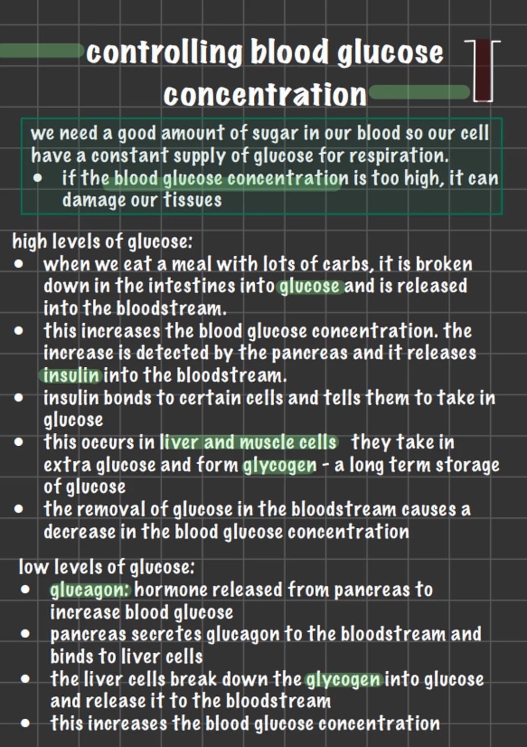 controlling blood glucose
concentration
T
we need a good amount of sugar in our blood so our cell
have a constant supply of glucose for resp
