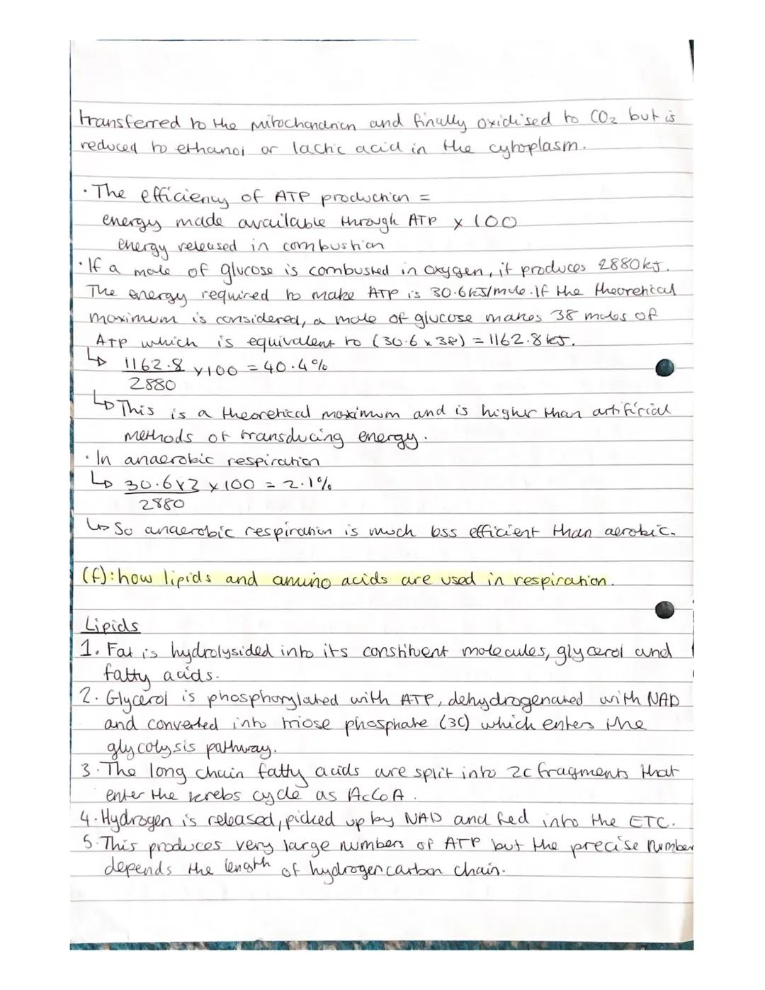 Respiration Notes

(a) The need for all living organisms to carry out respiration in
order to provide energy in the cell.

• Respiration is 