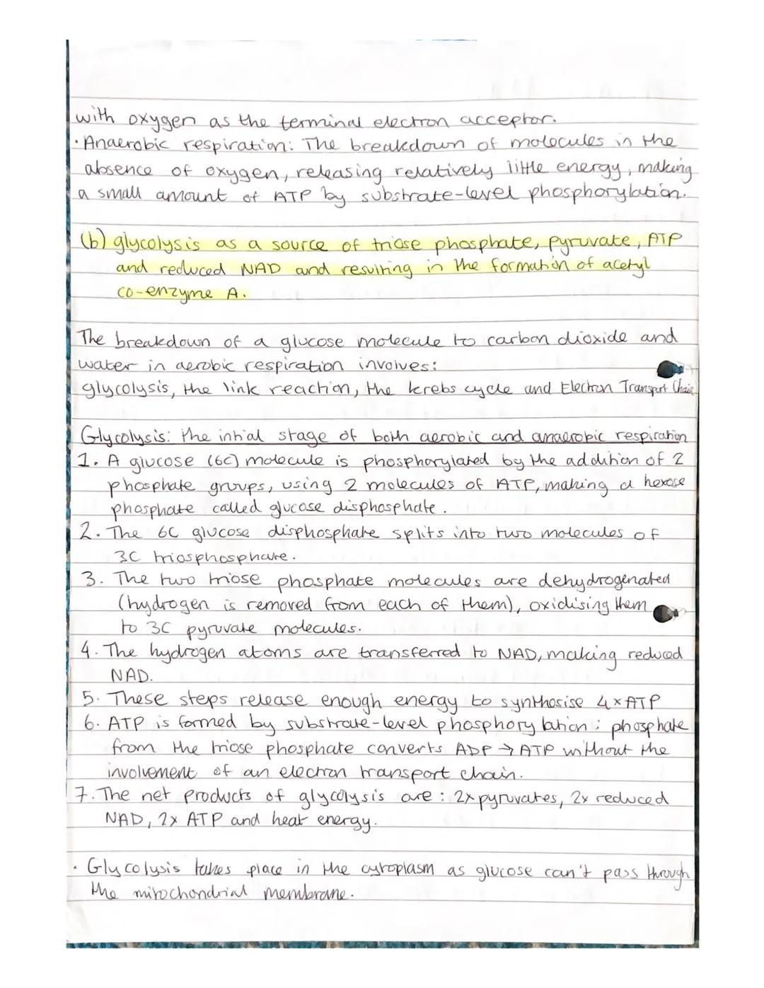 Respiration Notes

(a) The need for all living organisms to carry out respiration in
order to provide energy in the cell.

• Respiration is 