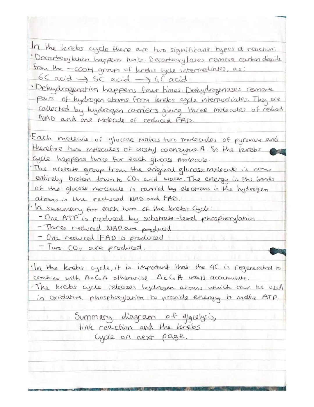 Respiration Notes

(a) The need for all living organisms to carry out respiration in
order to provide energy in the cell.

• Respiration is 