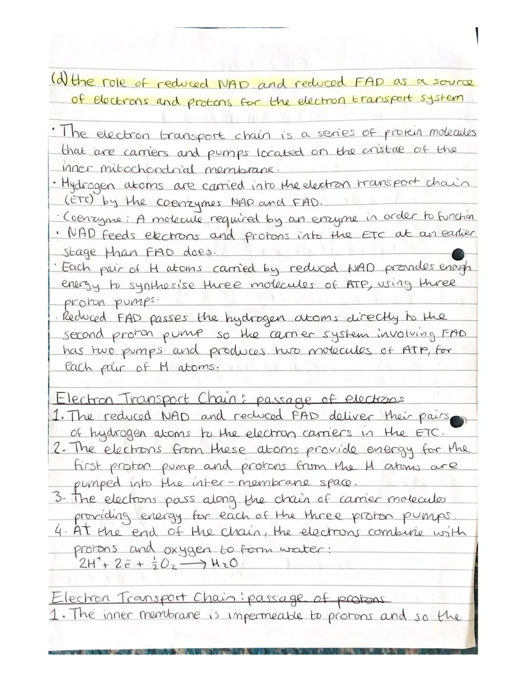 Respiration Notes

(a) The need for all living organisms to carry out respiration in
order to provide energy in the cell.

• Respiration is 