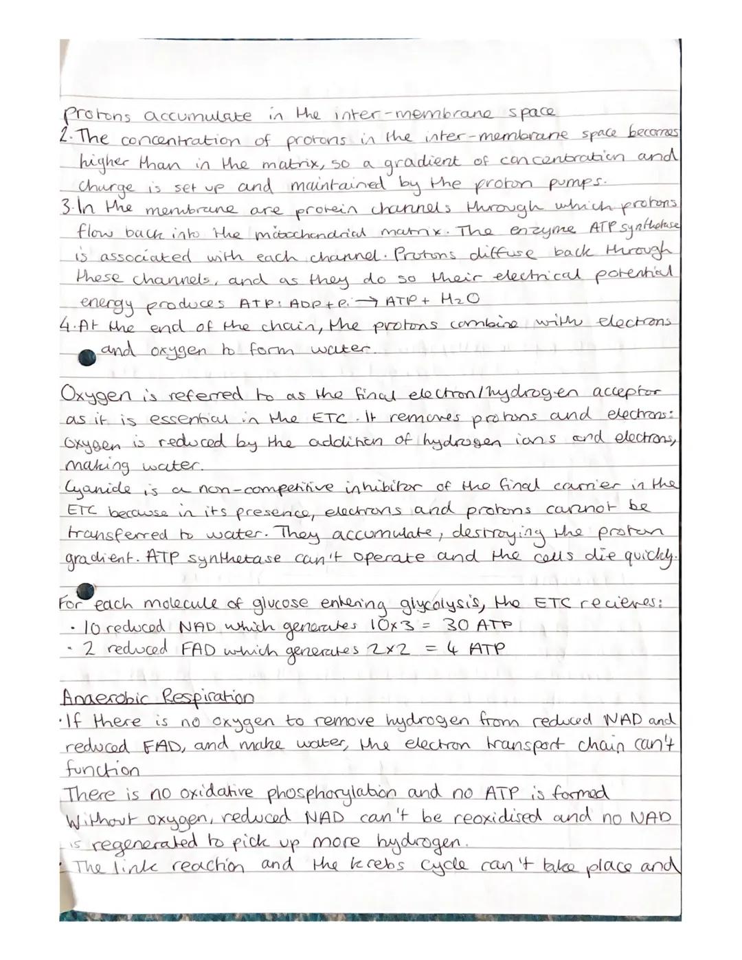 Respiration Notes

(a) The need for all living organisms to carry out respiration in
order to provide energy in the cell.

• Respiration is 