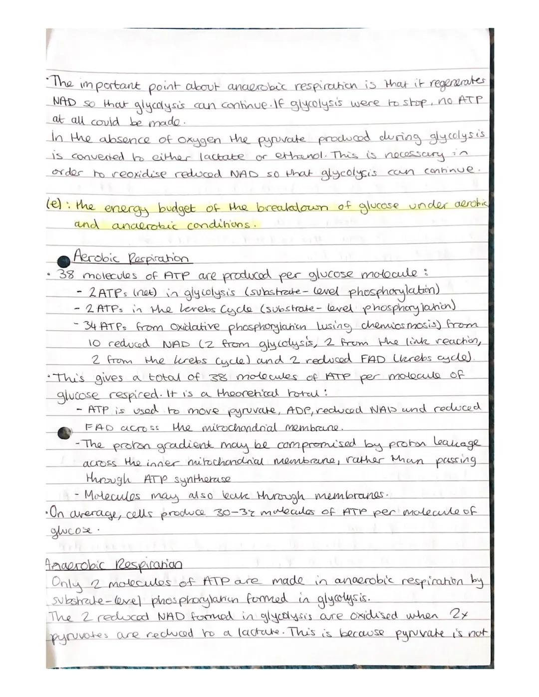 Respiration Notes

(a) The need for all living organisms to carry out respiration in
order to provide energy in the cell.

• Respiration is 