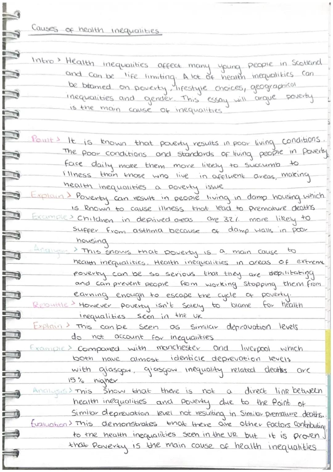 Causes Of Health Inequalities 