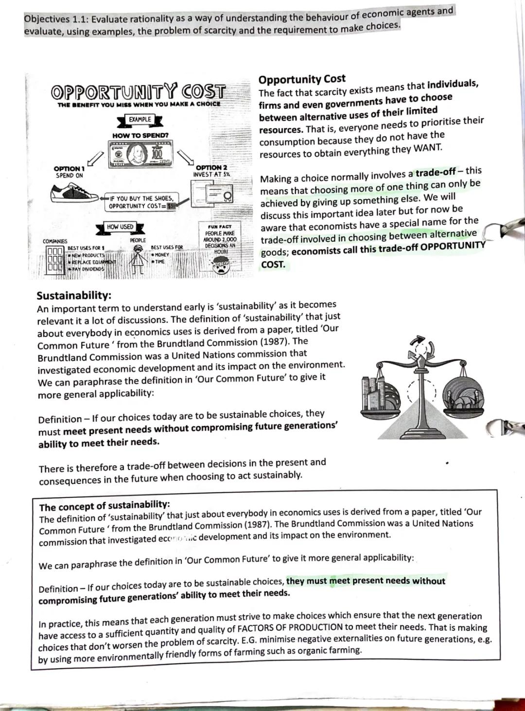 Understanding Opportunity Cost and Sustainability in Economics: Examples and Definitions