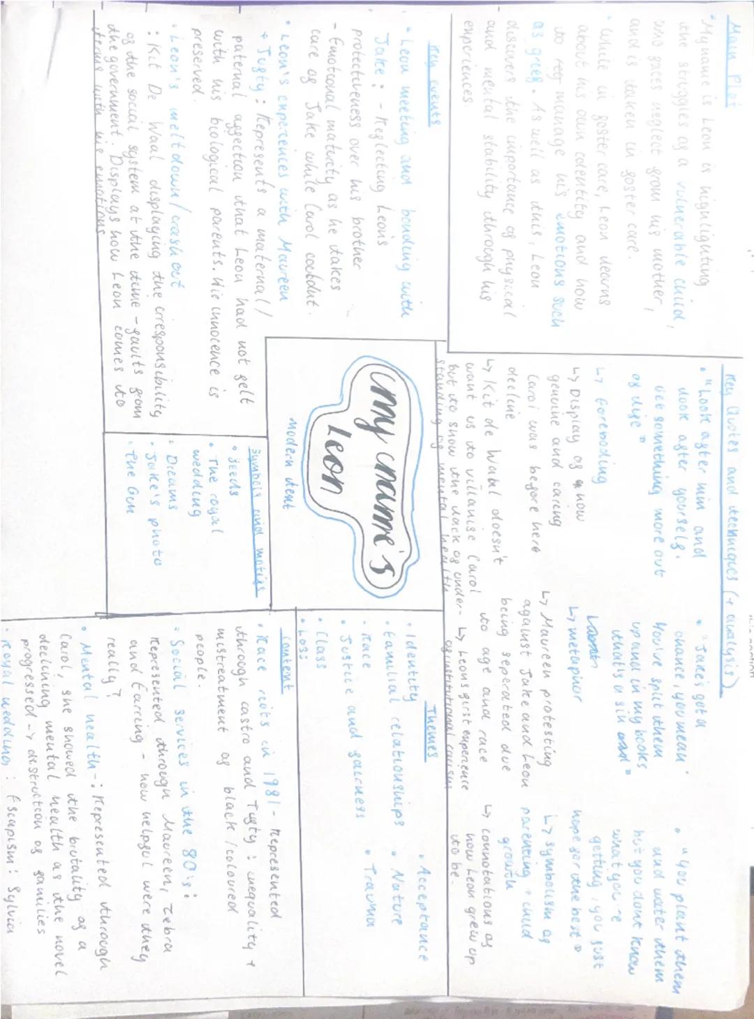 Main Plot
"My name is Leon is highlighting
the struggles of a vulnerable child,
who gaces neglect from his mother,
and is taken in goster ca