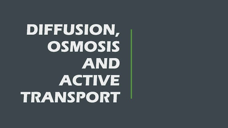 Know Diffusion, Osmosis and Active Transport thumbnail