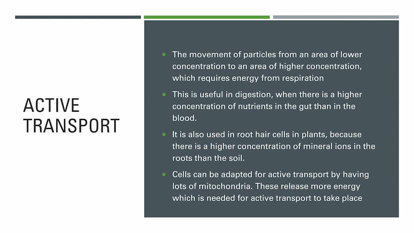 DIFFUSION,
OSMOSIS
AND
ACTIVE
TRANSPORT DIFFUSION
The net movement of particles from an area of high
concentration to an area of low concent