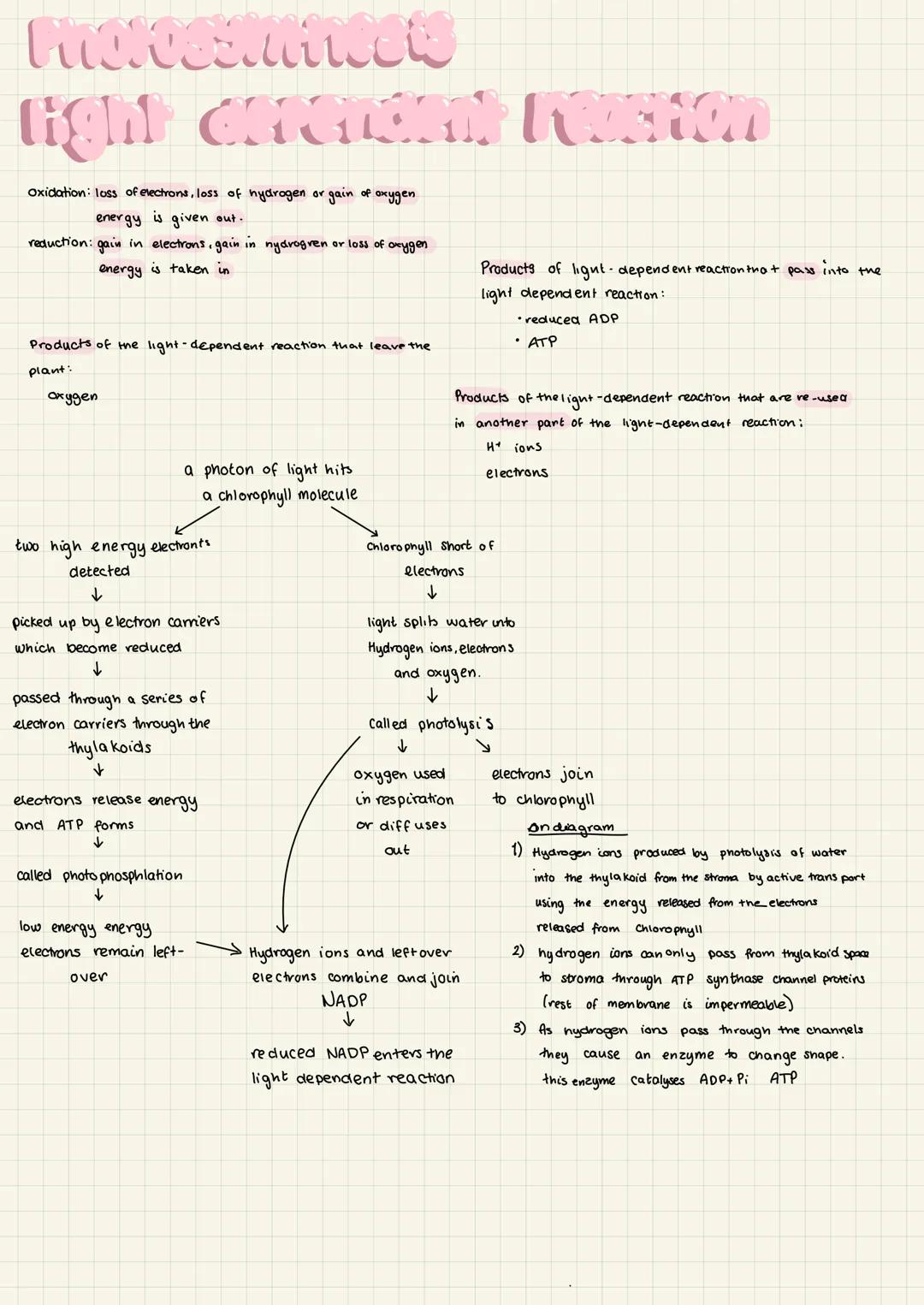 # Photossmineat

Oxidation: loss of electrons, loss of hydrogen or gain of oxygen
energy is given out.
reduction: gain in electrons, gain in