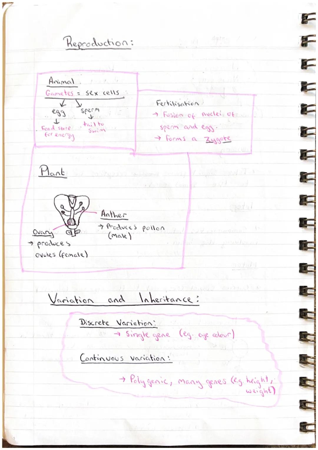 Biology
date
Multicellular Organisms
Absorption of materials
Features of absorption tissues
* Large surface area * One cell thick * Good blo