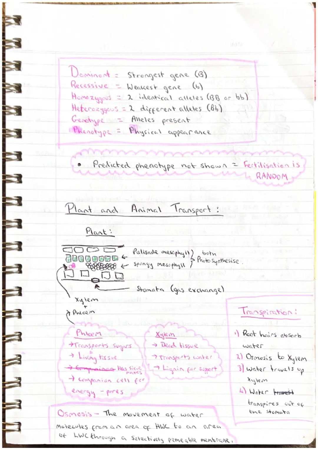 Biology
date
Multicellular Organisms
Absorption of materials
Features of absorption tissues
* Large surface area * One cell thick * Good blo