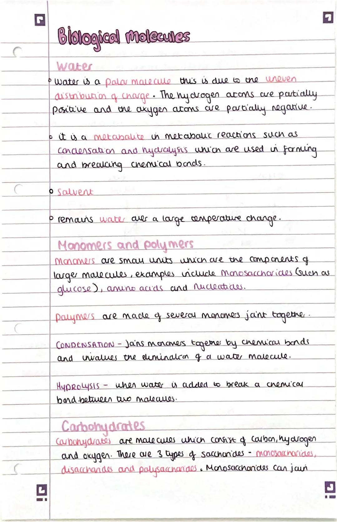 C
C
r
L
Biological molecules
Water
• water is a palar malecille this is due to the uneven
distribution of charge. The hydrogen atoms are par