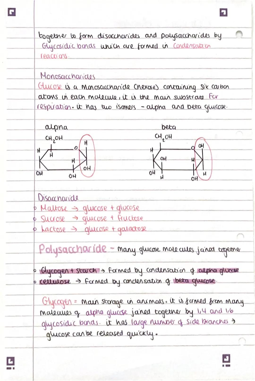 C
C
r
L
Biological molecules
Water
• water is a palar malecille this is due to the uneven
distribution of charge. The hydrogen atoms are par