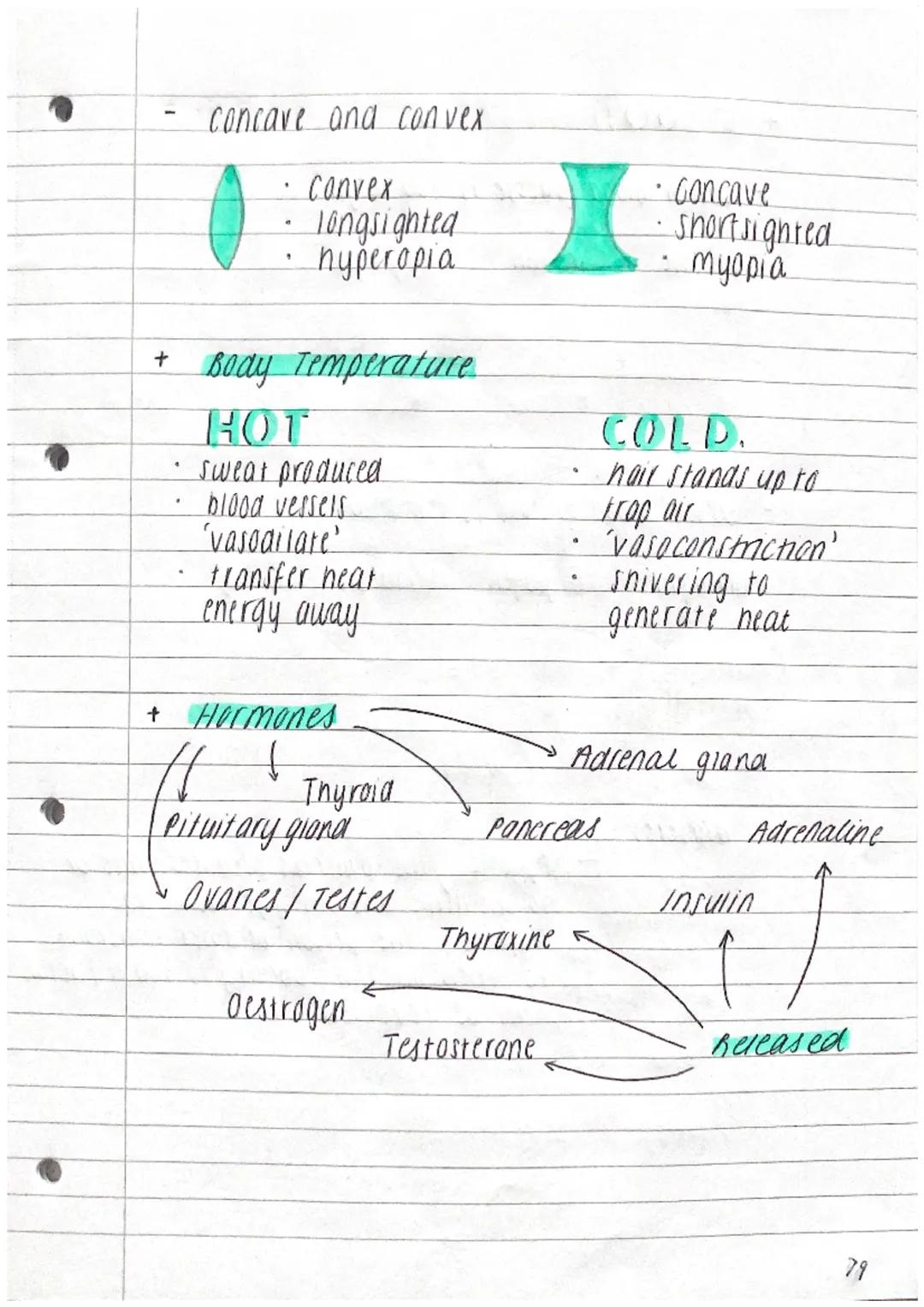 +
Topic 5 HOMEOSTASIS
The regulation of conditions inside the body
+ Stimulus
R eceptor
+
+
Sensory neurone
R clay neurone
Motor neurtine
E 