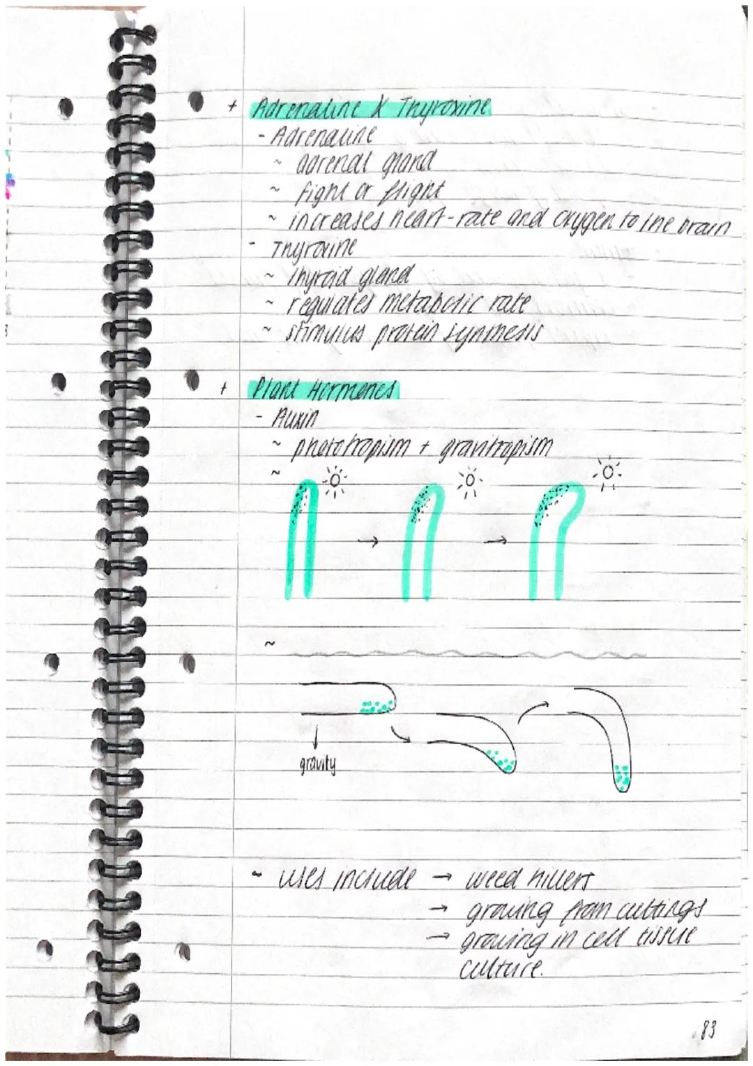 +
Topic 5 HOMEOSTASIS
The regulation of conditions inside the body
+ Stimulus
R eceptor
+
+
Sensory neurone
R clay neurone
Motor neurtine
E 