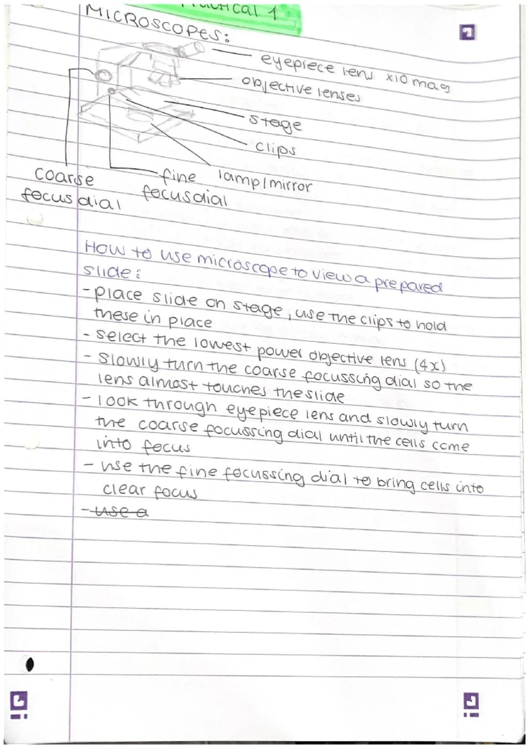 Reqired
practicals
Biology
Paper 1 • Mutical 1
MICROSCOPES:
Coarse
fecus dial
eyepiece lens x10 mag
objective lenses
Stage
Clips
-fine lamp/