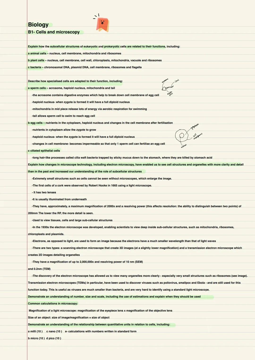 Cool Edexcel Triple Biology Paper 1 Notes: Diagrams, Free PDFs & More!