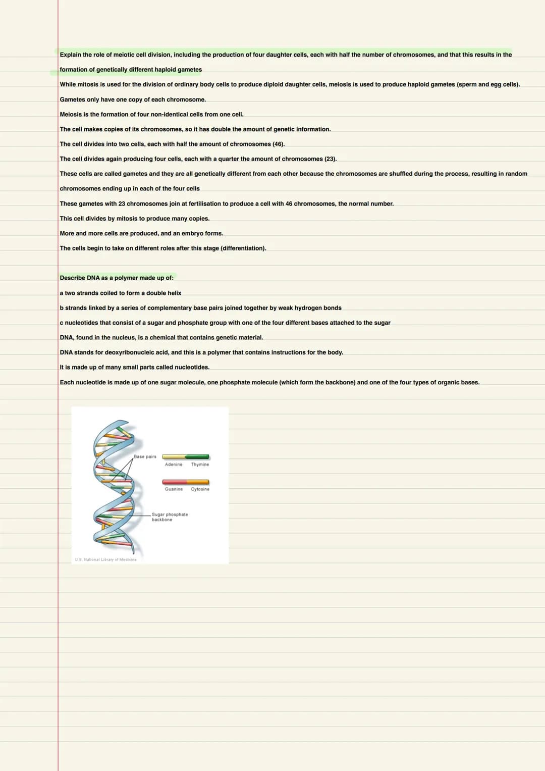 Biology
B1- Cells and microscopy
Explain how the subcellular structures of eukaryotic and prokaryotic cells are related to their functions, 