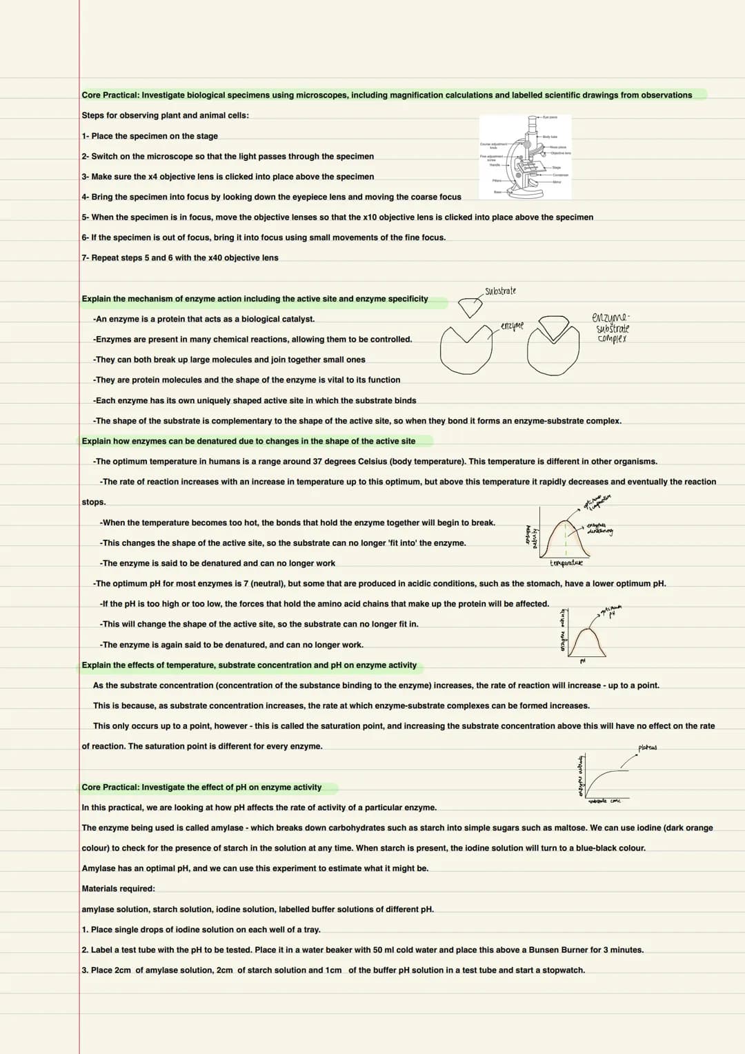 Biology
B1- Cells and microscopy
Explain how the subcellular structures of eukaryotic and prokaryotic cells are related to their functions, 