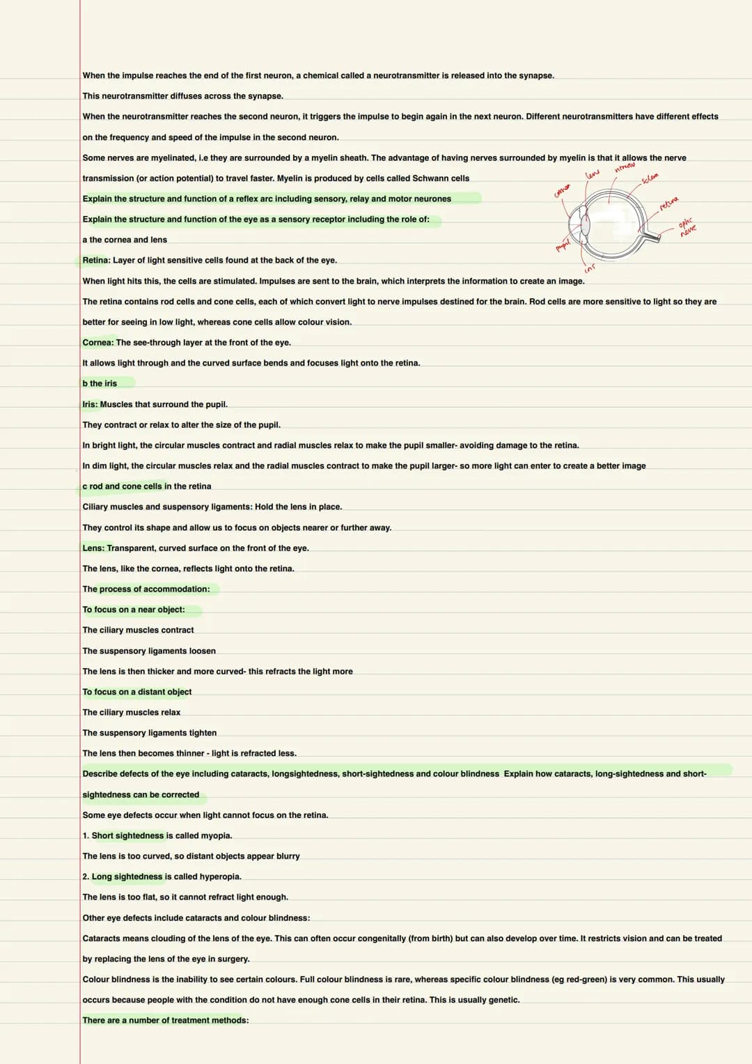 Biology
B1- Cells and microscopy
Explain how the subcellular structures of eukaryotic and prokaryotic cells are related to their functions, 