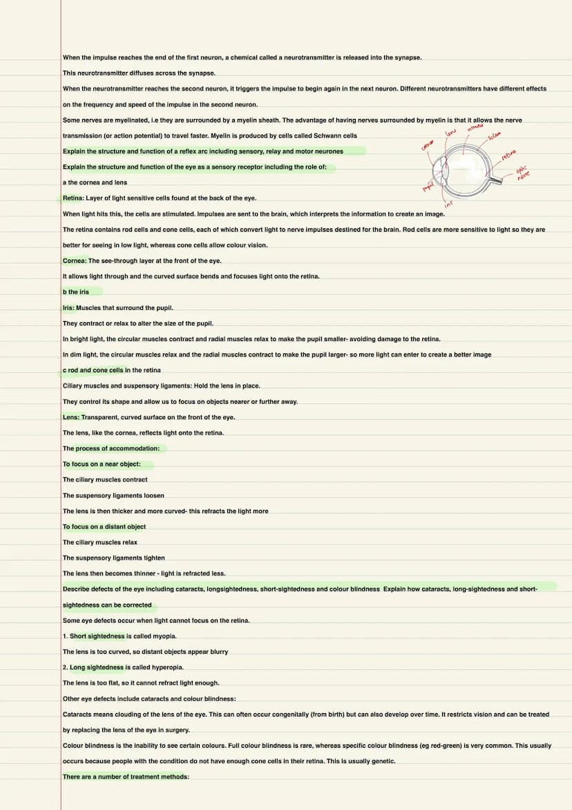 Biology
B1- Cells and microscopy
Explain how the subcellular structures of eukaryotic and prokaryotic cells are related to their functions, 