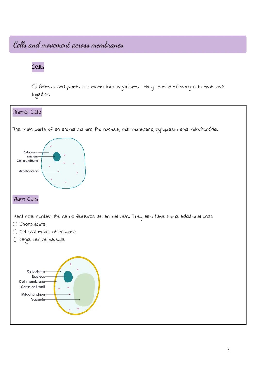 Your Ultimate GCSE Biology Guide: Topics, Notes, and Tips!