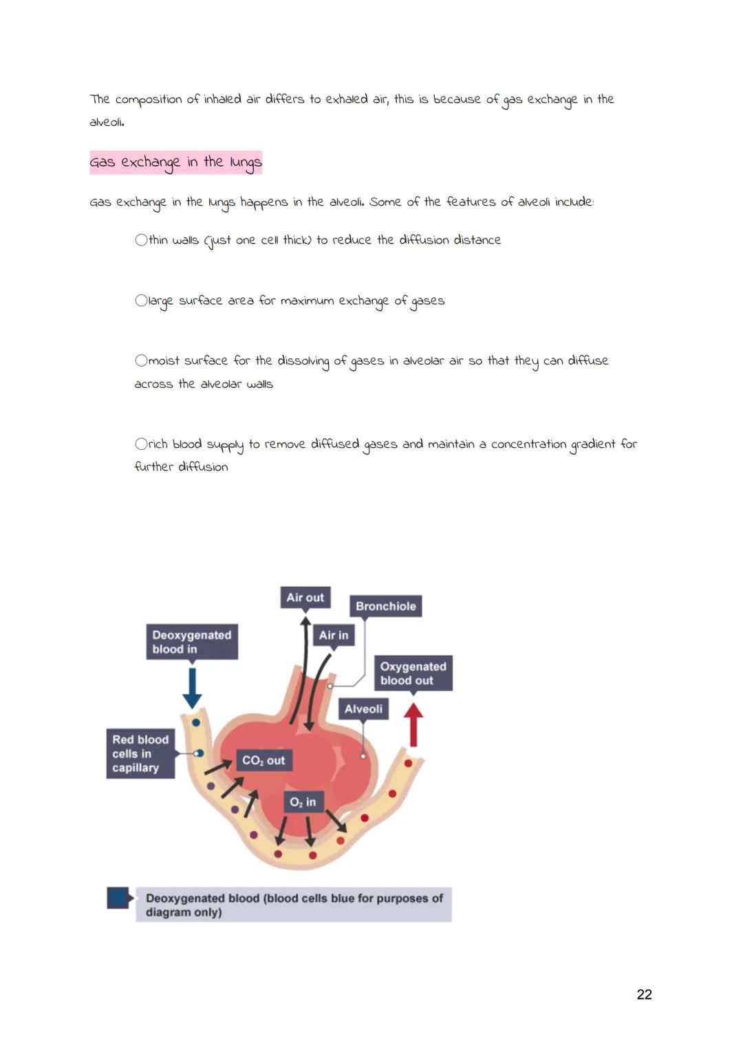 
<h2 id="cellsandmovementacrossmembranes">Cells and Movement Across Membranes</h2>
<h3 id="animalcells">Animal Cells</h3>
<p>Animals and pla