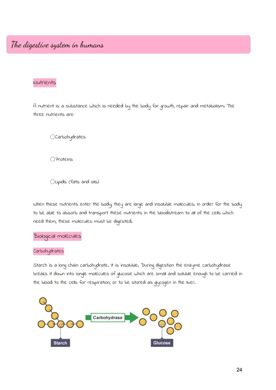 
<h2 id="cellsandmovementacrossmembranes">Cells and Movement Across Membranes</h2>
<h3 id="animalcells">Animal Cells</h3>
<p>Animals and pla