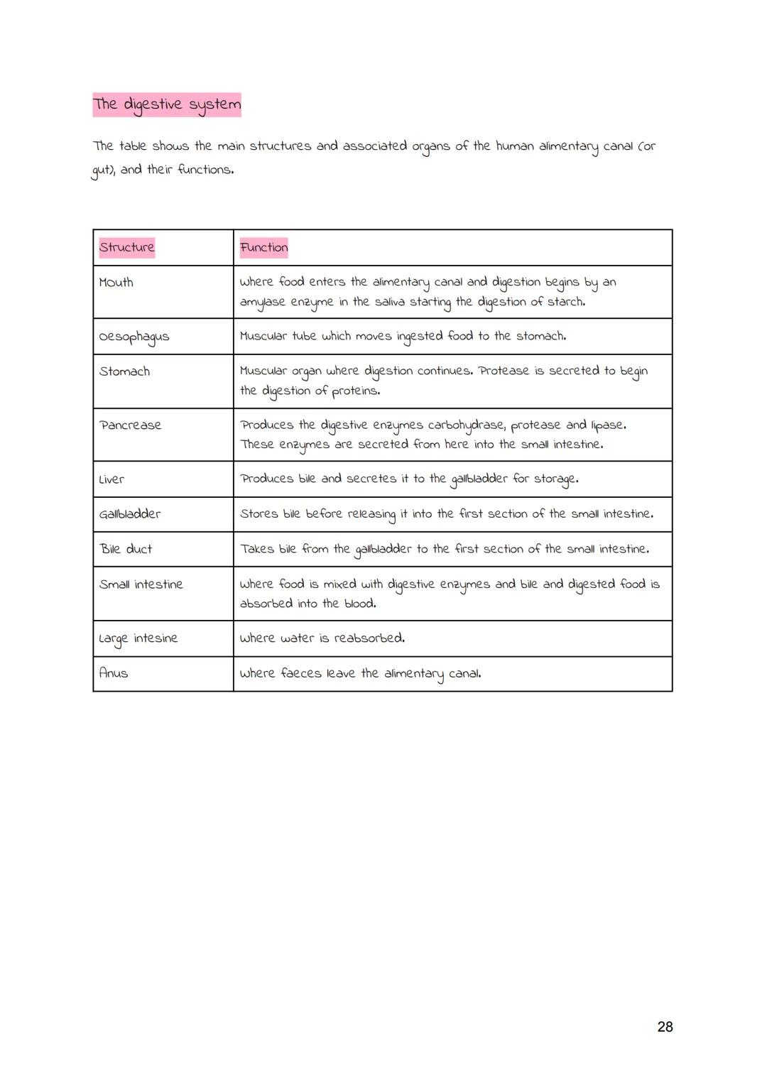 
<h2 id="cellsandmovementacrossmembranes">Cells and Movement Across Membranes</h2>
<h3 id="animalcells">Animal Cells</h3>
<p>Animals and pla