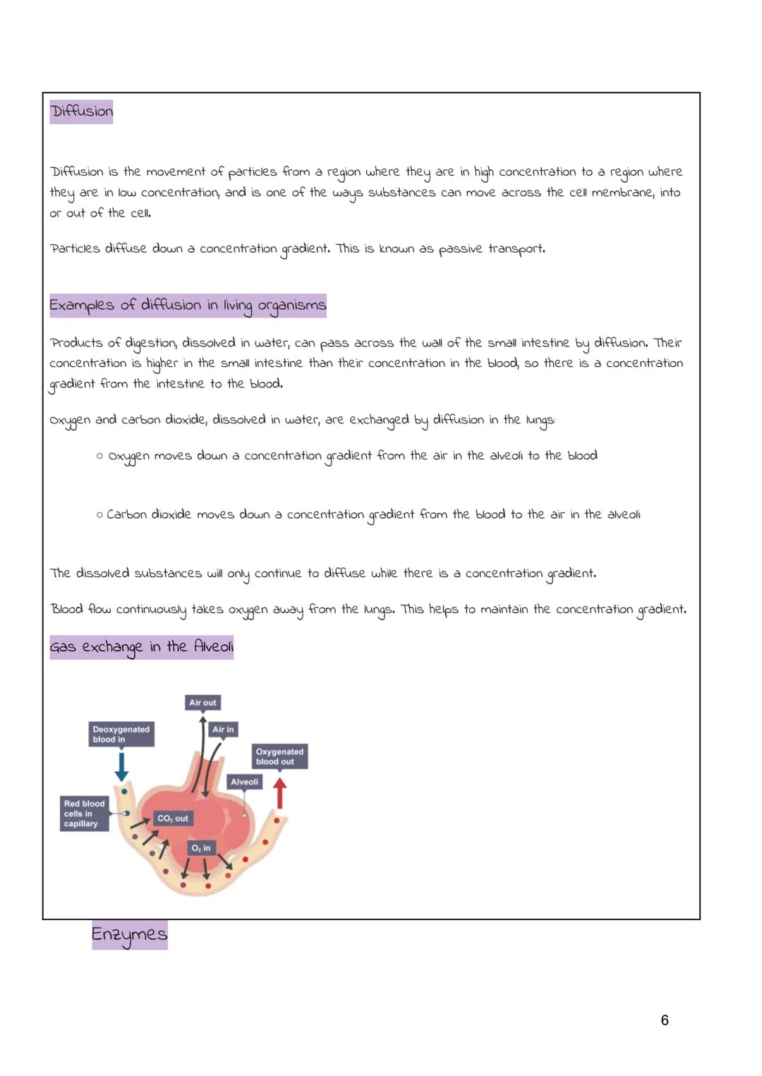 
<h2 id="cellsandmovementacrossmembranes">Cells and Movement Across Membranes</h2>
<h3 id="animalcells">Animal Cells</h3>
<p>Animals and pla