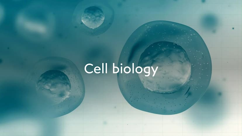 Biology Paper 1
Biology Cell biology Cytoplasm-
Cell membrane
Murcin cell wall-
Cell capsule
Mitochondrion
Nucleoid
Plasmid
Flagellum
}
1.1 