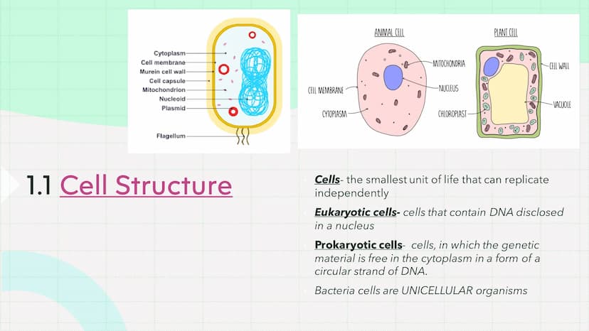 Biology Paper 1
Biology Cell biology Cytoplasm-
Cell membrane
Murcin cell wall-
Cell capsule
Mitochondrion
Nucleoid
Plasmid
Flagellum
}
1.1 
