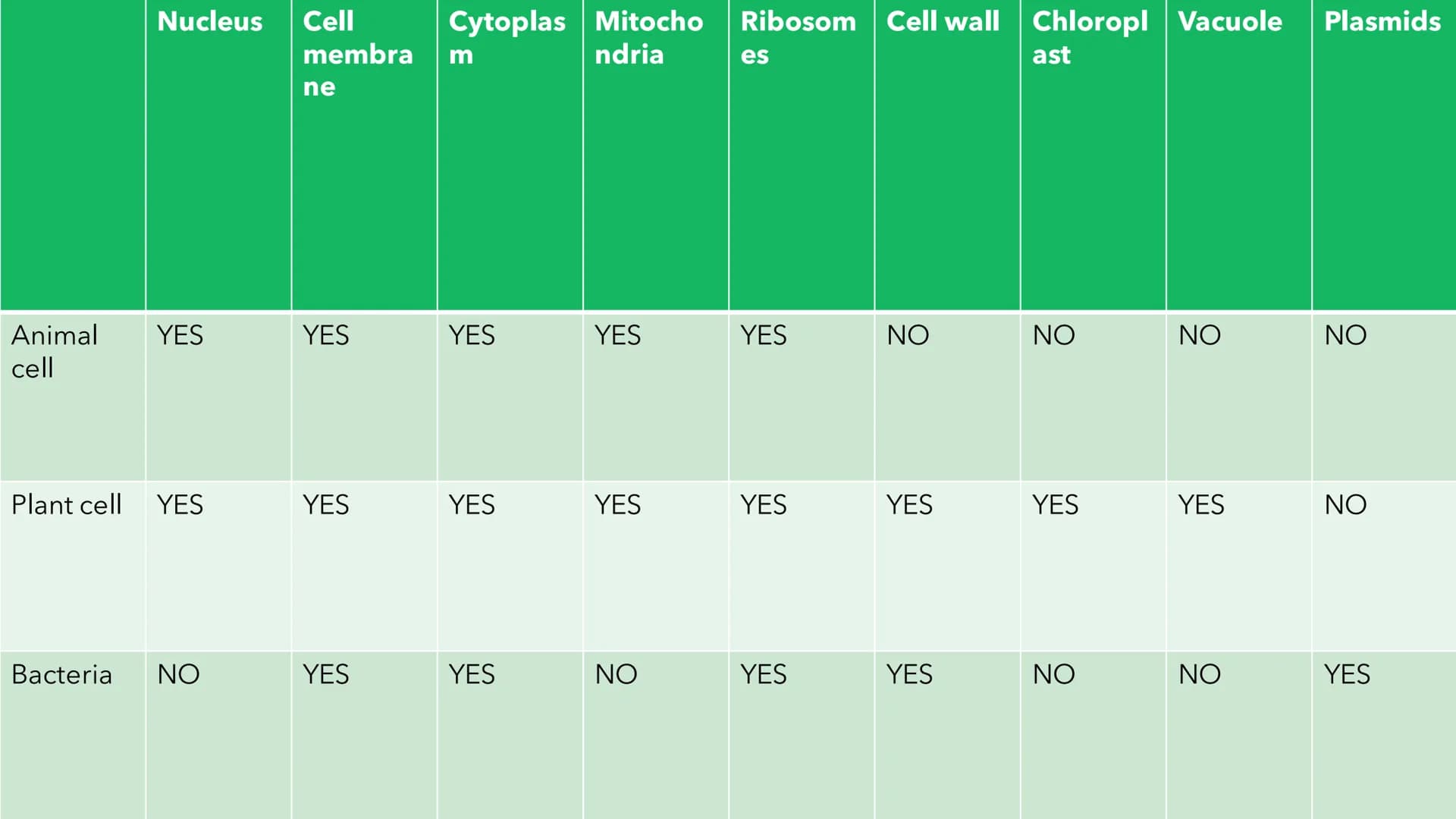 Biology Paper 1
Biology Cell biology Cytoplasm-
Cell membrane
Murcin cell wall-
Cell capsule
Mitochondrion
Nucleoid
Plasmid
Flagellum
}
1.1 