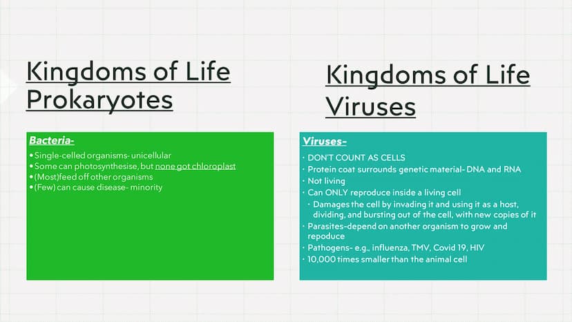 Biology Paper 1
Biology Cell biology Cytoplasm-
Cell membrane
Murcin cell wall-
Cell capsule
Mitochondrion
Nucleoid
Plasmid
Flagellum
}
1.1 