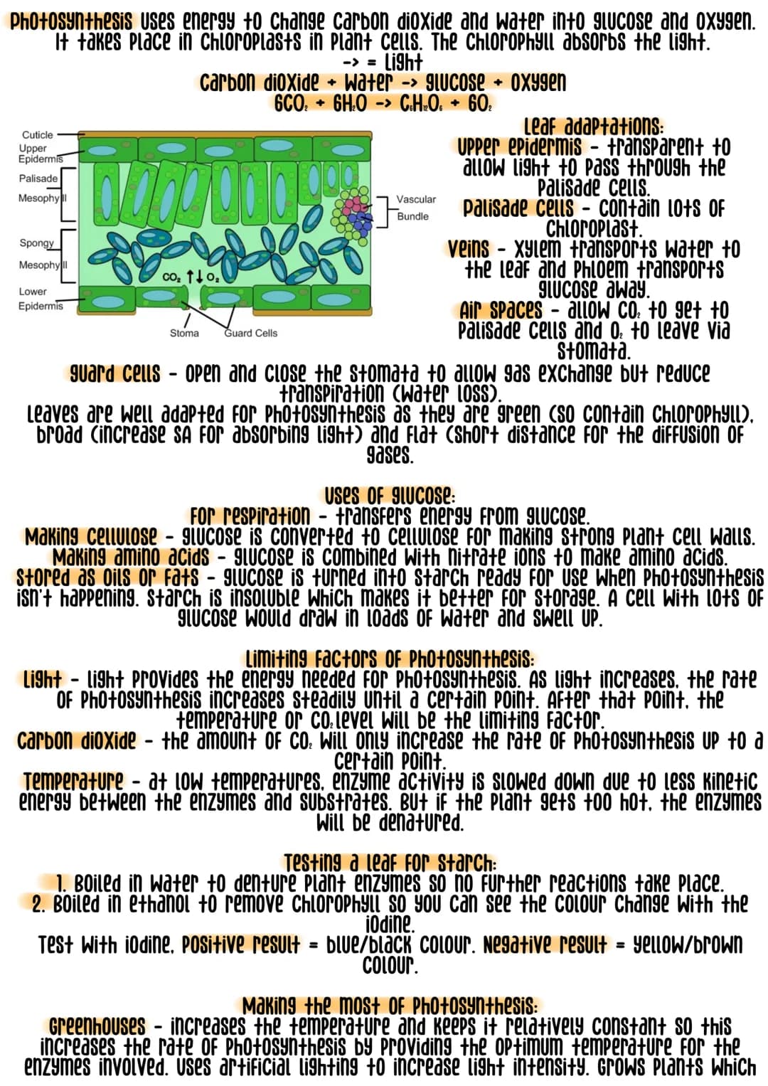 Photosynthesis uses energy to Change carbon dioxide and water into glucose and oxygen.
It takes place in Chloroplasts in Plant cells. The Ch