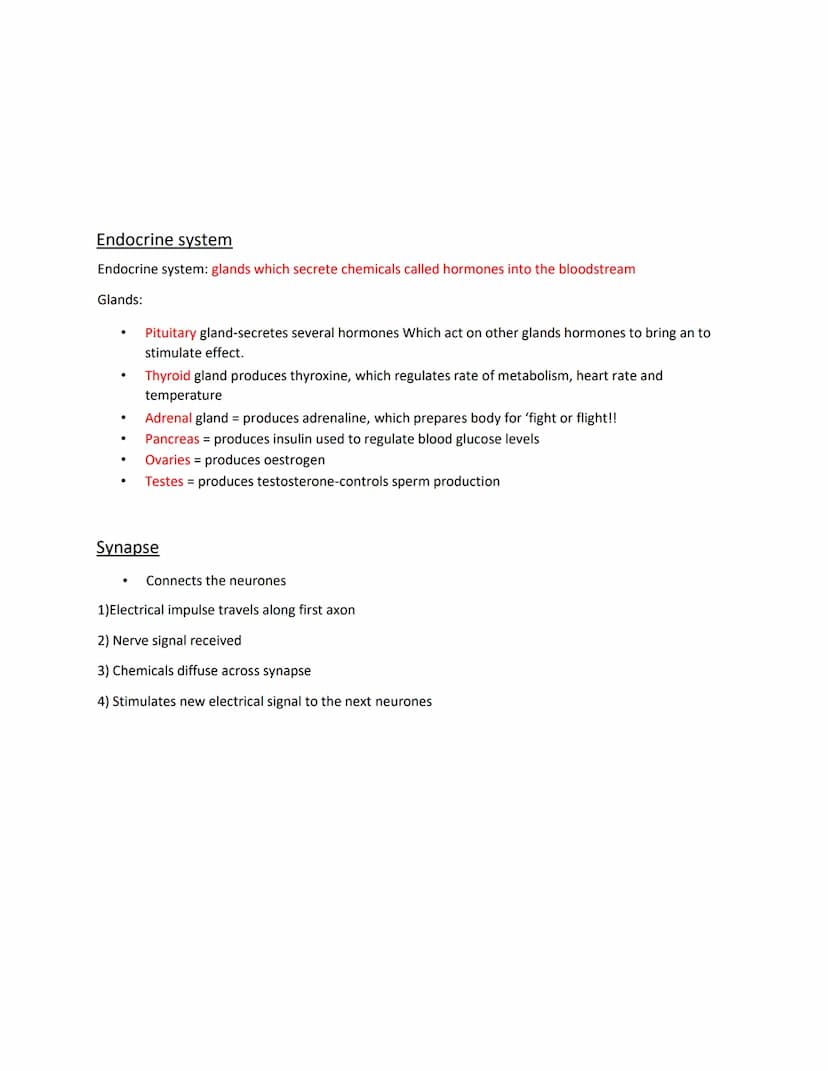 Paper 2 Biology
B5:Homeostasis
Homeostasis: The regulation of the conditions of the body
•Controls blood glucose concentration, temperature,