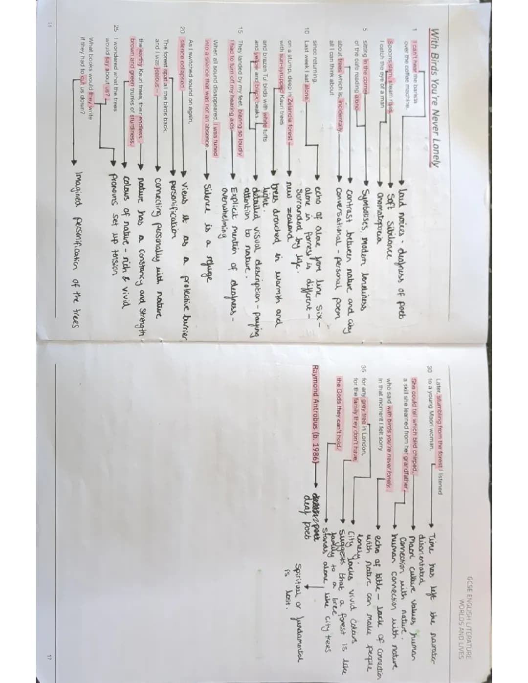 AQA World's and Lives "With Birds You're Never Lonely" poem.
