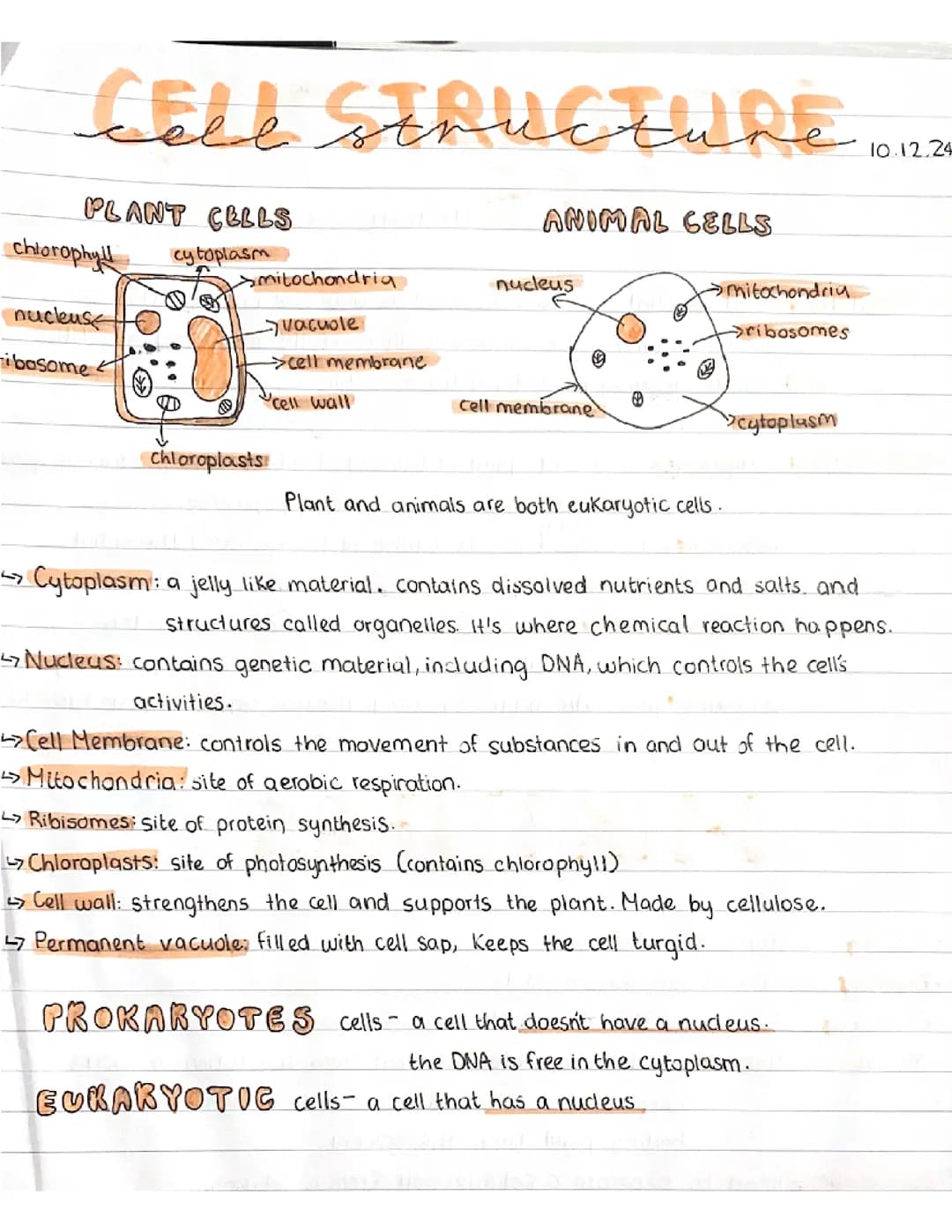Animal & Plant Cells