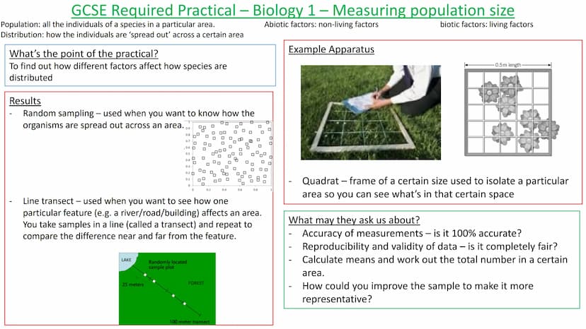 GCSE Required Practical - Biology 1 - Investigating reaction time
Reaction time - the time it takes for you to react. You need to detect the